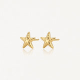 Boucles d'oreilles puces en acier inoxydable doré, étoiles de mer texturées.