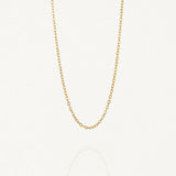 Chaîne fine dorée maille forçat MAISON DE L'AMOUR, un basique intemporel en acier inoxydable sur fond blanc.